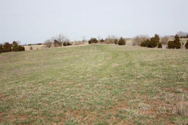 ABSOLUTE AUCTION - 298 Acres Offered in 4 Tracts